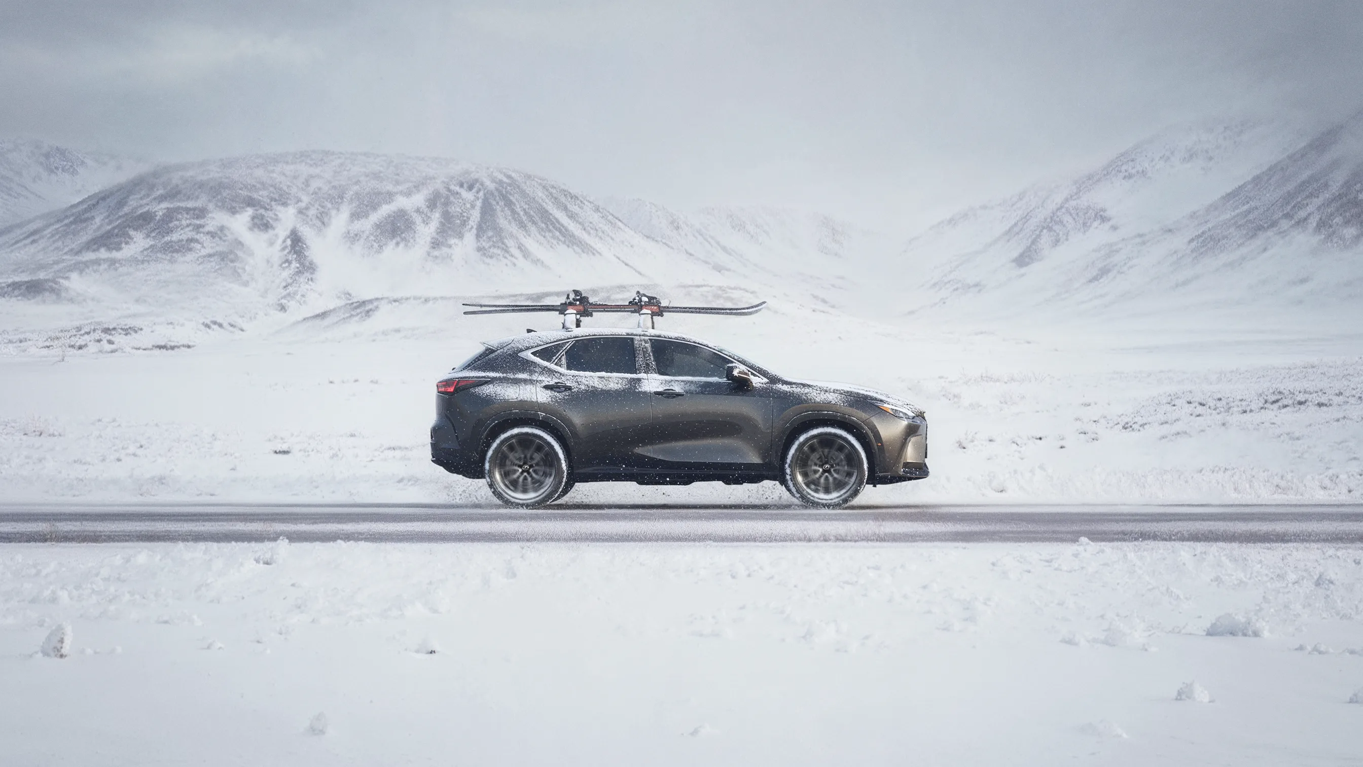 Lexus static-banner